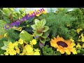 夏の開店祝いフラワースタンド