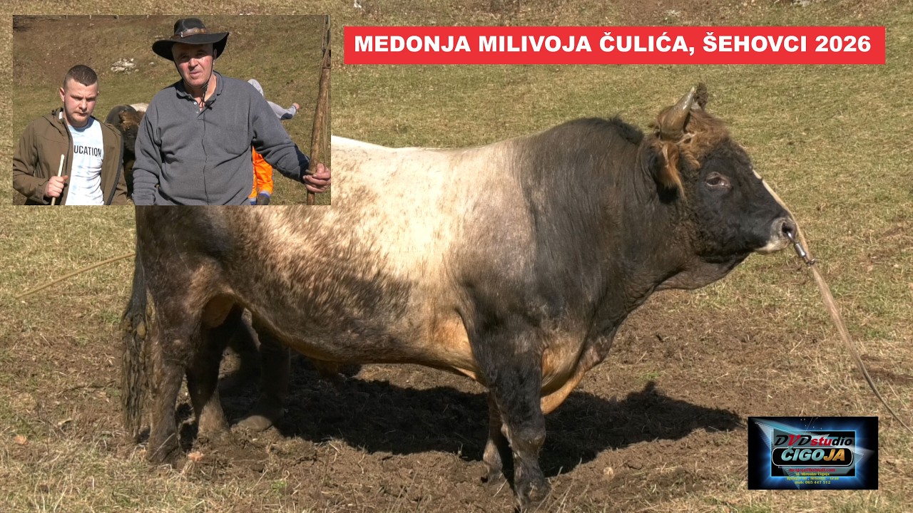 - MEDONJU VODIM NA KORIDU KOD MOGA UJAKA RAĐE ŠKRBIĆA