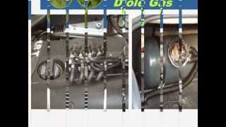 Auto Servis Djole Gas