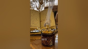 سورة : يوسف - Yusuf#القرآن#قران_كريم #راحة_نفسية #اكسبلور#ترند #حالات_واتس#دويتو #quran #shortvideo