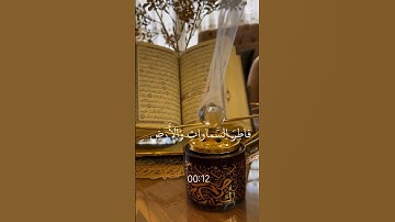 سورة : يوسف - Yusuf#القرآن#قران_كريم #راحة_نفسية #اكسبلور#ترند #حالات_واتس#دويتو #quran #shortvideo
