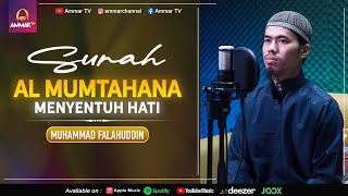 SURAT AL MUMTAHANA || MUHAMMAD FALAHUDDIN || MUROTTAL JUZ 28