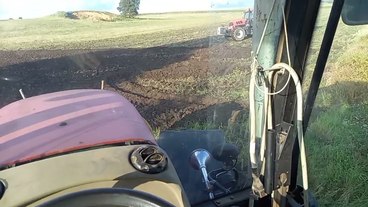 Orka na 2 pronarki Pronar p9 8140