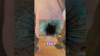 Jangan Ke Pantai Tanpa Alas Kaki