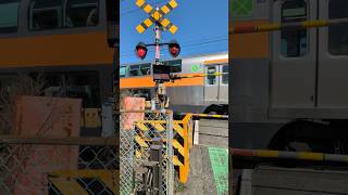 【青梅線】 鍋ヶ谷踏切をJR東日本E233系0番台電車が通過します。 カンカン警報機音ASMR #shorts #railroadcrossing #japanesetrain