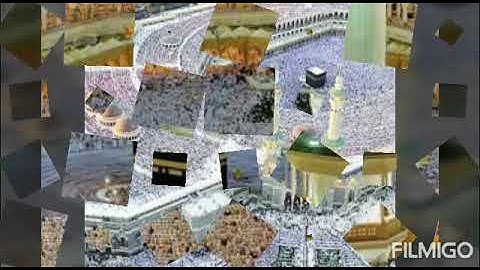 قراء اليمن 🇾🇪 سورة المنافقون بصوت الشيخ القارئ ابو مسلم عبد الجبار بن غالب  البريهي الهاشمي