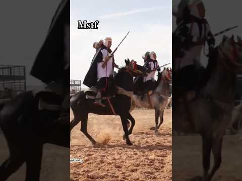 علفة حميان المشرية ولاية النعامة من وعدة البيوض ولاية النعامة المشوار الأول 2024