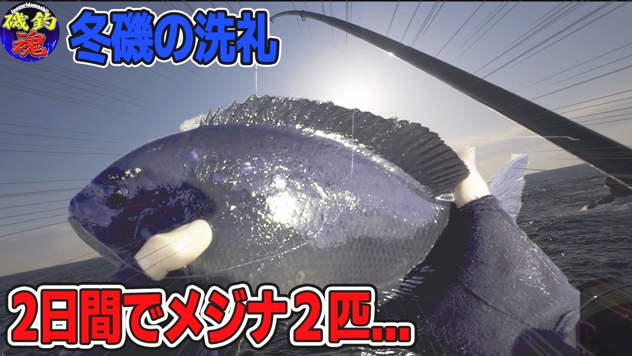 【2026年２月・城ヶ島】冬磯の洗礼!寒グレはそう甘くない...