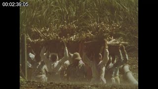 1970s Mauritius | Sugar productions | Paul Bérenger | Seewoosagur Ramgoolam | Paul Bérenger | 1971