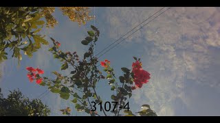 3107 4 - W/n x Erik ft Nâu || Quyn206 3107 4 - W/n x Erik ft Nâu || Quyn206