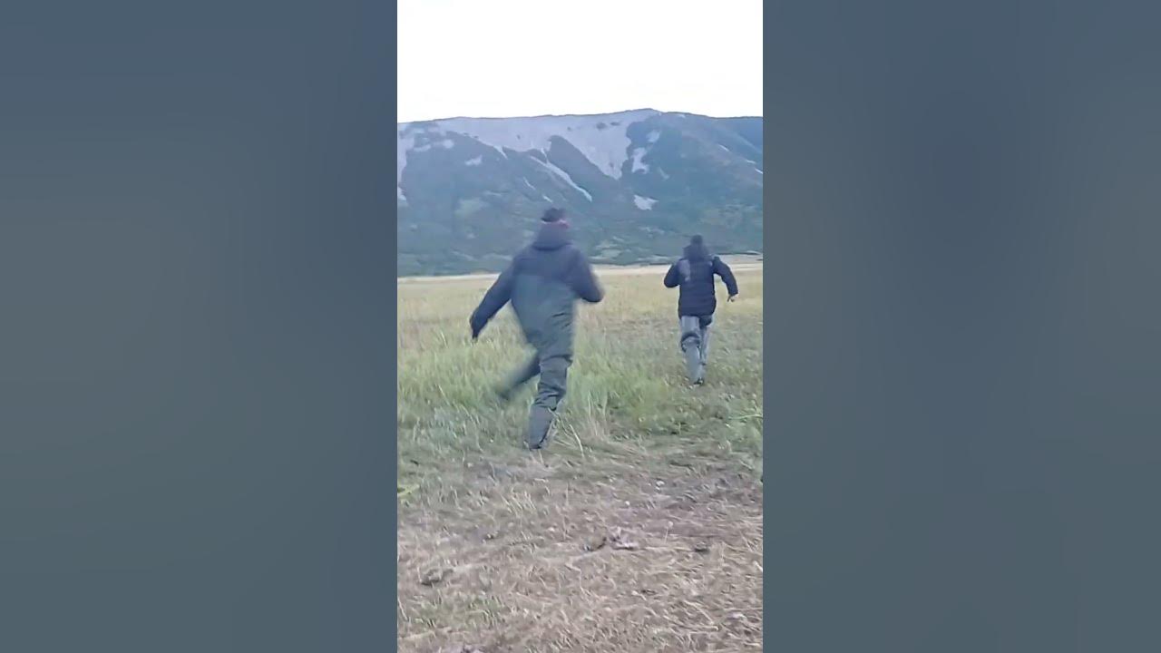 Съемки медведя на Камчатке