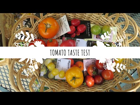 tomato-taste-test-|-summer-2019