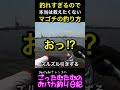釣れすぎるので本当は教えたくないハゼを使ったマゴチの釣り方