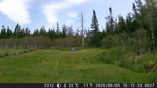 2026 — DSCF2027