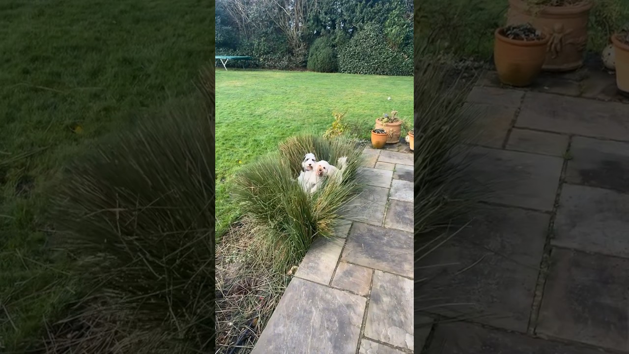 That takedown though 😂 