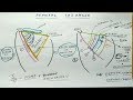 Femoral triangle - 1 | TCML