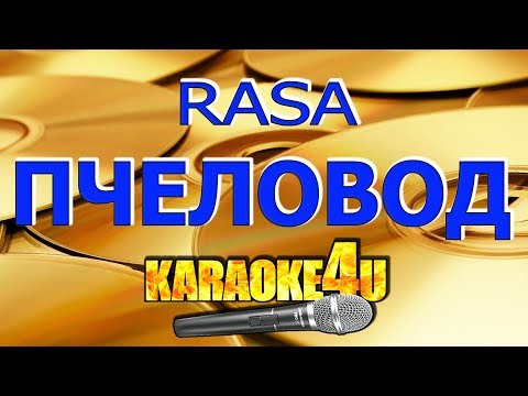 RASA | Пчеловод | Кавер минус