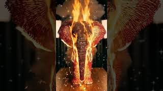 Matchstick Elephant sculpture ignited video 🔥 #shorts #viral #trending #ytshorts #matchstick #fire