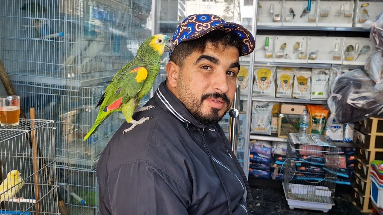 من سوق القريعة🔥أجيو نتولعو ونتعرفو على مختلف أنواع الطيور مع بدر فرجة ممتعة 