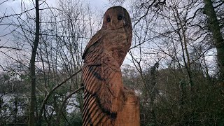 Frosty Weather Ireland Nature Forest Park River Walk Asmr Sounds 2024