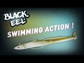 Fiiish  black eel  swimming action