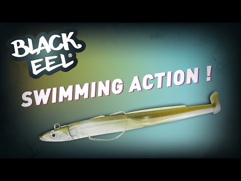fiiish - Black Eel - Swimming action