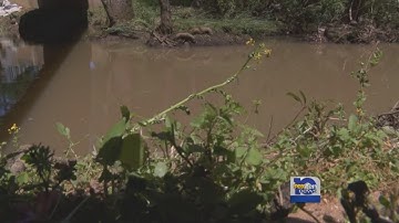 Baldwin Sewage Spill; New Information