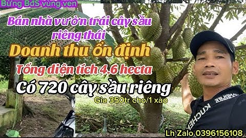 Quá xót xa gia đình cần bán gấp lô đất nhà vườn trái cây sầu riêng thái giá rẻ để lo công việc nhà 