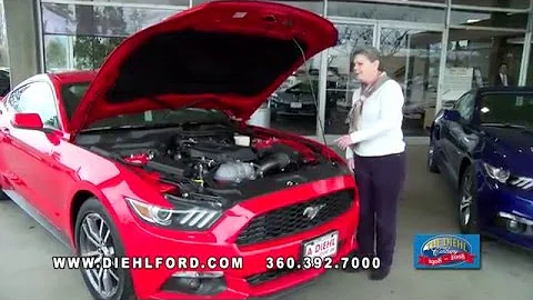 DIEHLFORD - NANCY @ Diehl Ford