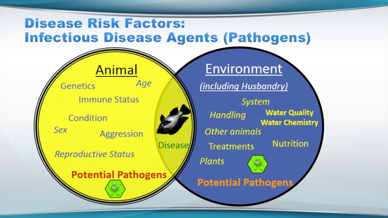 What you need to know about biosecurity - YouTube