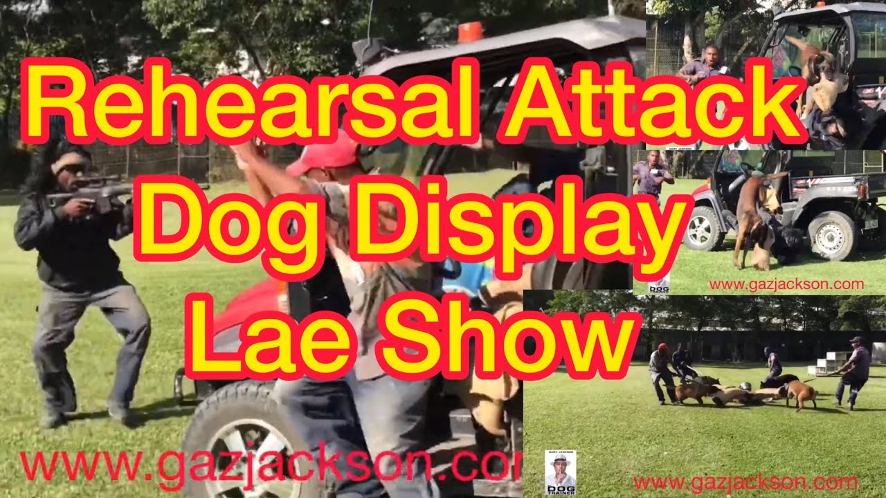 EP 80. Guard Dog Rehearsal for Lae Show PNG YouTube
