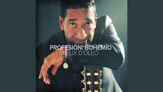 Video thumbnail of "Felix D'Oleo - Mi Perfecto Refugio"