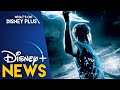 Percy Jackson Creator Rick Riordan Gives A New Update On Upcoming Disney+ Series | Disney Plus News