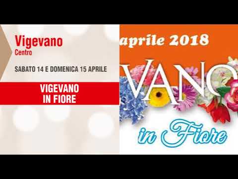 italian greyhound Tempo Libero fino al 15 aprile 2018