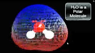 Is H2O Polar or Nonpolar?