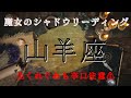 山羊座11月〜12月【シャドウ】あなたが気づいた事👀魔女のシャドウリーディング🌒