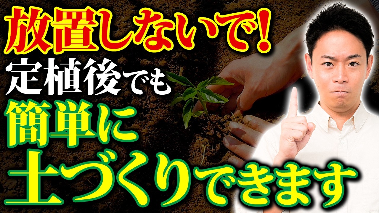◆4/25(土)削除◆　再出品ナシ Extremely important! How to dramatically improve the root