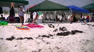Pensacola memorial day weekend 2012