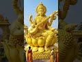 vira vadini 🌹🌹 Jai Mata Saraswati 🙏🙏 #bhaktisong #matasaraswati #sarswati #sarswatipuja #song