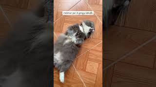 Atas Sampe Bawah Montok Semua