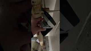 Celebrity Lock box playing hide and seek Wealth