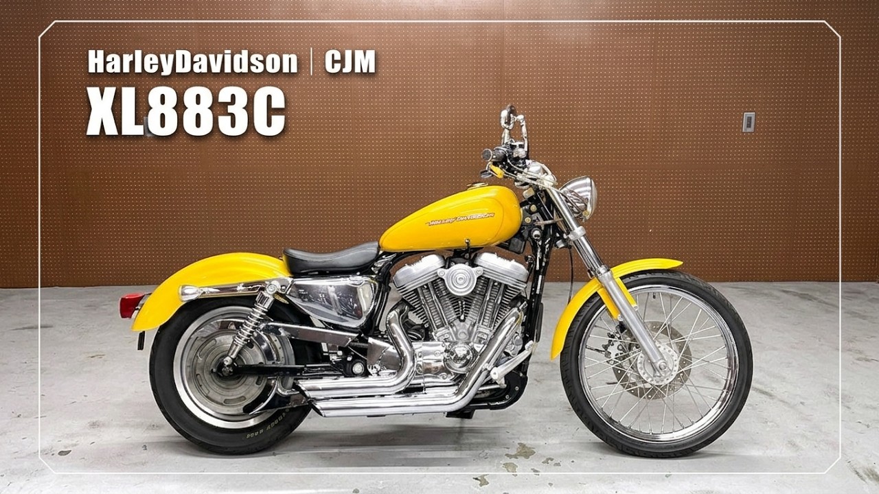HarleyDavidson】XL883C｜CJM｜VANCE&HINES製マフラー/DAYTONA製USB