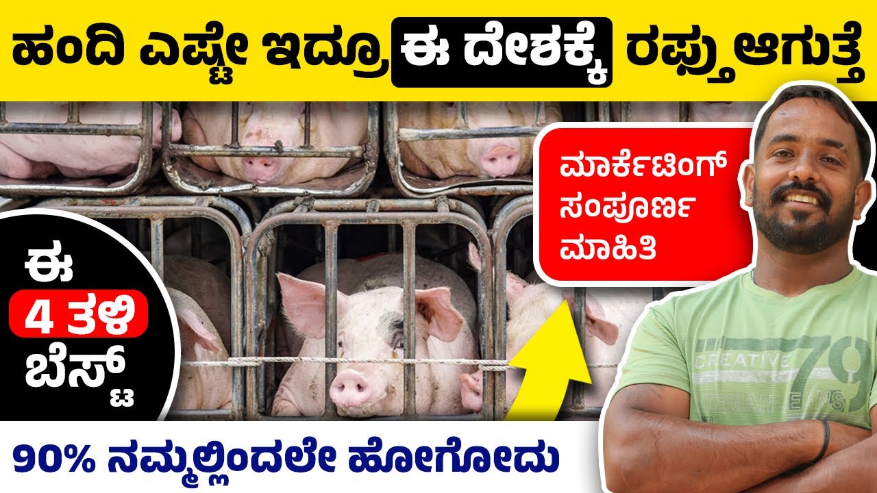 ಹಂದಿ ಸಾಕಾಣಿಕೆಯಲ್ಲಿ ಈ 4 ತಳಿ ಬೆಸ್ಟ್ | ಹಂದಿ ಸಾಕಾಣಿಕೆ ಮಾಡ್ತಿದ್ರೆ ಹೇಗೆ Marketing ಮಾಡ್ಬೇಕಂತ ಗೊತ್ತಾ?