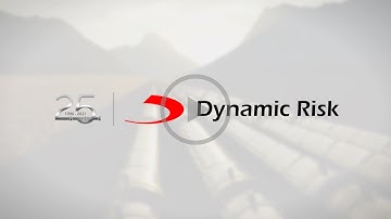 Dynamic Risk Corporate Overview