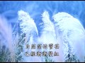 電視金曲 菅芒 彭莉 電視金曲 菅芒 彭莉