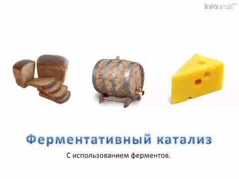 Видео: Как катализатор изменяет энергию активации?