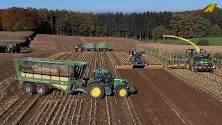 Maishäckseln Lohnunternehmen der Landwirtschaft Biogasanlage Farming corn harvest Traktor Maisernte