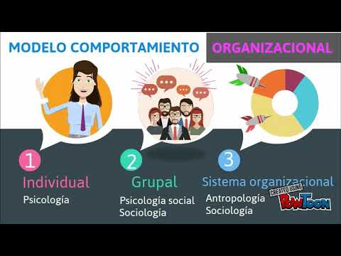 Modelo de Comportamiento organizacional - YouTube