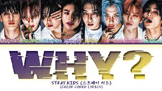 STRAY KIDS 'WHY?' (re:Revenge OST) Lyrics (Color Coded Lyrics) Resimi