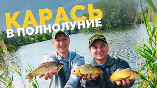 ЗА КАРАСЕМ В ПОЛНОЛУНИЕ! Ловим карася на секретную насадку! Рыбалка на поплавок!